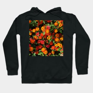 Colorful Bloom Photography My Hoodie